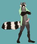  2017 anthro apawcalyptic clothed clothing digital_media_(artwork) hi_res humanoid_penis looking_at_viewer male mammal nikodavis nude penis raccoon simple_background smile solo vitally_(character) 