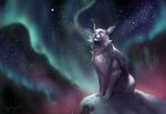  2016 feline feral fur grey_nose lynx mammal night nude outside paws rhyu sitting sky solo star starry_sky white_fur 