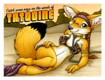  2016 anthro black_nose breasts brown_hair canine chain clothed clothing collar dipstick_tail female fennec fox fur hair looking_at_viewer mammal michele_light multicolored_tail navel outside pose smile solo star_wars yellow_fur 