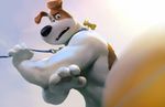  anthro black_nose brown_eyes brown_fur canine claws collar disney dog front_view fur holding_object leash male mammal max_(secret_life_of_pets) movie_(disambiguation) open_mouth paws pixar pose simple_background sleez solo standing sunny teeth the_secret_life_of_pets white_fur 