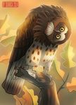  ambiguous_gender avian beak bird brown_feathers feathers feral looking_at_viewer owl seanica solo standing tree wood yellow_eyes 
