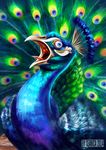  2014 ambiguous_gender avian beak bird blue_eyes feral open_mouth peafowl seanica solo tongue 