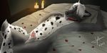  2017 animal_genitalia bed_sheet candle canine collar colored door flashfire flower_petals look_at_viewer mammal on_back petals pillow rachet rose_petals sheath smile wolf 