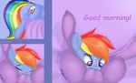  2016 bed blue_fur comic cunnilingus cutie_mark duo earth_pony english_text equine female feral friendship_is_magic fur hair horse inside looking_at_viewer lying mammal multicolored_hair my_little_pony on_back on_bed oral pony purple_eyes purple_fur rainbow_dash_(mlp) rainbow_hair sex text twilight_sparkle_(mlp) twiren vaginal 