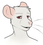  albino biscuits_(artist) hair isaac male mammal rat red_eyes rodent solo whiskers white_hair 