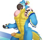  abs anthro avian balls bird break breath_of_the_wild erection humanoid_penis kass_(zelda) male muscular nintendo nude pecs penis pinup pose retracted_foreskin seyrmo signature smile solo the_legend_of_zelda uncut video_games 