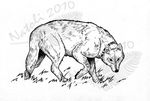  2010 ambiguous_gender black_nose canine feral line_art mammal natoli nude simple_background solo traditional_media_(artwork) watermark white_background wolf 