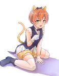  animal_ears cat_ears cat_tail gloves hair_ribbon highres hoshizora_rin kanabun korekara_no_someday looking_at_viewer love_live! love_live!_school_idol_project open_mouth orange_hair paw_pose polka_dot polka_dot_shorts ribbon shorts sitting solo tail wariza yellow_eyes 