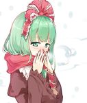  arm_ribbon blush bow breath breathing_on_hands cold frilled_sleeves frills front_ponytail green_eyes green_hair hair_bow hair_ribbon kagiyama_hina mito_tsubaki red_ribbon red_scarf ribbon scarf simple_background solo touhou wide_sleeves 