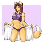  anthro canine clothing female fox fur hair hiddenwolf looking_at_viewer mammal smile solo standing swimsuit wide_hips 