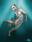  anthro fur looking_at_viewer male mammal mustelid navel nude otter sindaj smile solo underwater water 