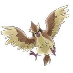  bird no_humans pidgey pokemon satou_mami solo 