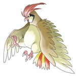  bird no_humans pidgeotto pokemon satou_mami solo 
