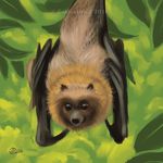  2016 ambiguous_gender bat bat_wings feral flying_fox fur goldendruid mammal membranous_wings solo wings 