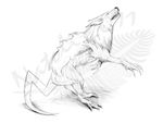  canine claws feral hybrid mammal natoli nude open_mouth simple_background sketch solo traditional_media_(artwork) watermark white_background wolf 