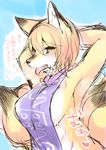  alternate_species armpits blue_background breasts canine clothed clothing female fox furrification japanese_text mammal ran_yakumo side_boob simple_background skimpy solo text touhou translated 