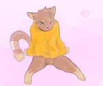  anthro bandage blue_eyes blush bottomless brown_fur bulge cat clothed clothing cute feline fur hoodie male mammal one_eye_closed simple_background sitting solo spread_legs spreading tohfu 