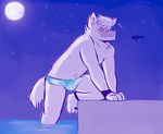  3_toes 4_fingers anthro balls blush bulge canine clothing dog erection eyes_closed fur humanoid_penis mammal moon penis public purple_fur sky speedo star swimsuit toes tohfu translucent transparent_clothing water wet wet_clothing white_fur 