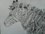  adeloo ambiguous_gender equine feral fur hair looking_at_viewer mammal monochrome solo stripes traditional_media_(artwork) zebra 
