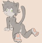  3_toes 4_fingers anthro anus backsack balls butt cat cub cute_fangs dandi feline fur green_eyes grey_fur leo_(vg_cats) looking_back male mammal pawpads raised_tail simple_background solo toes vg_cats young 