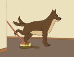  broom brown_fur canine dog feral fur inside lexpads male mammal omorashi solo standing urine urine_pool watersports 