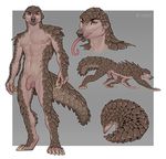  anthro balls caraid feral flaccid humanoid_penis long_tongue looking_at_viewer male mammal model_sheet nude pangolin penis solo tongue uncut 