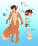  &lt;3 2014 5_fingers 5_toes absurd_res amber_eyes anthro balls brown_hair brown_nose canine claws digital_media_(artwork) dipstick_tail english_text erection eyebrows flaccid fox front_view fur girly gradient_background hair hi_res humanoid_penis long_foreskin looking_at_viewer male mammal model_sheet multicolored_tail navel nipples orange_fur penis revadiehard short_hair simple_background smile solo standing text toes uncut 