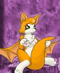  breasts dunewulff dust:_an_elysian_tail fidget mammal nimbat solo video_games wings 