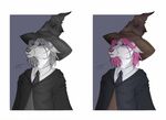  adeloo anthro canine clothed clothing female fur hair harry_potter_(series) hat mammal solo standing witch_hat 