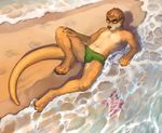  anthro beach brown_eyes brown_fur brown_hair bulge claws clothed clothing detailed_background erection erection_under_clothes eyewear fur glasses hair looking_at_viewer lying male mammal multicolored_fur mustelid navel on_back otter outside penis_outline sand seaside smile solo speedo star swimsuit tarrin toe_claws topless totesfleisch8 two_tone_fur water whiskers 