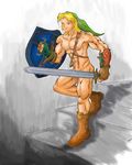  legend_of_zelda link ocarina_of_time tagme twilight_princess 