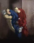  against_wall anal anal_penetration anthro butt butt_grab cum duo from_behind gay gloves grab hedgehog humping knuckles_the_echidna male mammal nipples penetration penis raised_tail sega sex sonic_(series) sonic_team sonic_the_hedgehog unknown_artist wet 
