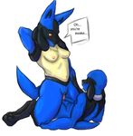  lucario pokemon riolu tagme 