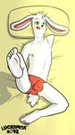  +18 anus balls bed big_ears big_feet cute feet invalid_tag lagomorph male mammal masturbation nude paws penis playing pose rabbit 