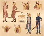  anthro arucarrd breasts clothed clothing featureless_breasts female kangaroo mammal marsupial model_sheet nude solo standing 
