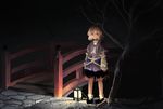  akaiha_(akaihasugk) arm_warmers bare_tree blonde_hair bridge expressionless green_eyes highres lantern looking_to_the_side mizuhashi_parsee night pointy_ears robe scarf shoes short_hair skirt socks solo standing touhou tree 