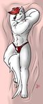  anthro bulge canine clothing fur hair kotetsu_rexen looking_at_viewer lying male mammal muscular on_back smile solo underwear 