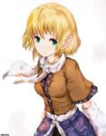  arm_warmers bad_id bad_pixiv_id bangs blonde_hair blush breasts closed_mouth commentary_request cowboy_shot dyolf green_eyes looking_at_viewer medium_breasts mizuhashi_parsee pointy_ears sash scarf short_hair short_sleeves smile solo touhou upper_body white_scarf 