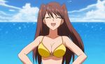  1girl 90s agent_aika aika_r-16 animated animated_gif bangs bare_shoulders beach bikini bounce bouncing_breasts breasts brown_hair cleavage collarbone eyes_closed female large_breasts long_hair shingai_eri sky smile solo sparkle swept_bangs swimsuit upper_body water yellow_bikini 