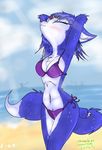  2017 anthro armpits beach big_breasts bikini black_nose blue_fur blue_hair blush breasts canine chameloshi cleavage clothed clothing cloud detailed_background digital_media_(artwork) e-01 eyes_closed female fish fishing fishing_rod fox fur hair krystal mammal marine mostly_nude multicolored_fur nintendo nipples outside sand sea seaside shark simple_background sky smile solo star_fox sweat swimsuit two_tone_fur underwear video_games water white_fur 