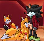  big_breasts big_penis bound breasts canine cock_sucking dreamcastzx1 escopeto fan_character female fox hedgehog male mammal miles_prower penis sonic_(series) sonic_boom zooey_the_fox 