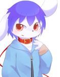  anthro aoino blush clothing collar cub fur jacket lagomorph leash looking_at_viewer male mammal open_mouth rabbit red_eyes simple_background solo white_background white_fur young zipper 