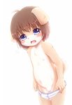  anthro blue_eyes blush brown_fur brown_hair canine clothed clothing cub dog featureless_crotch fur hair kasasagi looking_at_viewer male mammal navel nipples open_mouth simple_background solo standing tighty_whities topless underwear underwear_down white_background white_fur young 