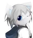  anthro aoino blue_eyes canine clothing cub dog fur grey_hair hair hoodie looking_at_viewer male mammal one_eye_closed simple_background smile solo white_background white_fur wink young 