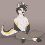  2017 4_toes animated anthro black_fur black_hair canine clothed clothing dog earldense fur hair happy loop male mammal markings multicolored_fur simple_background sitting smile solo tailwag toes topless white_fur worried yellow_eyes yellow_fur yellow_markings zerovi_(kerovix) 