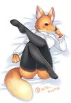  artist_request fox furry pantyshot stocking sweater 