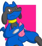  2017 abra_the_kadabra angry animal_genitalia animal_penis balls blue_fur blue_tail canine_penis erection fur grey_fur holding_penis male nintendo penis pok&eacute;mon red_eyes riolu simple_background sitting solo spread_legs spreading video_games 