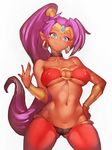  blush breasts covered_nipples dark_skin earrings fumio_(rsqkr) high_ponytail jewelry long_hair looking_at_viewer medium_breasts navel o-ring o-ring_top purple_hair shantae_(character) shantae_(series) simple_background smile solo thighs very_long_hair white_background 