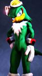  clothing eyewear gloves goggles headwear jet_the_hawk solo sonic_(series) sonic_riders 