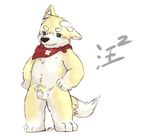  alternate_version_available balls bandage blush canine dog flaccid front_view hands_on_hips male mammal neckerchief nipples penis polakuma pubes slightly_chubby smile solo standing 